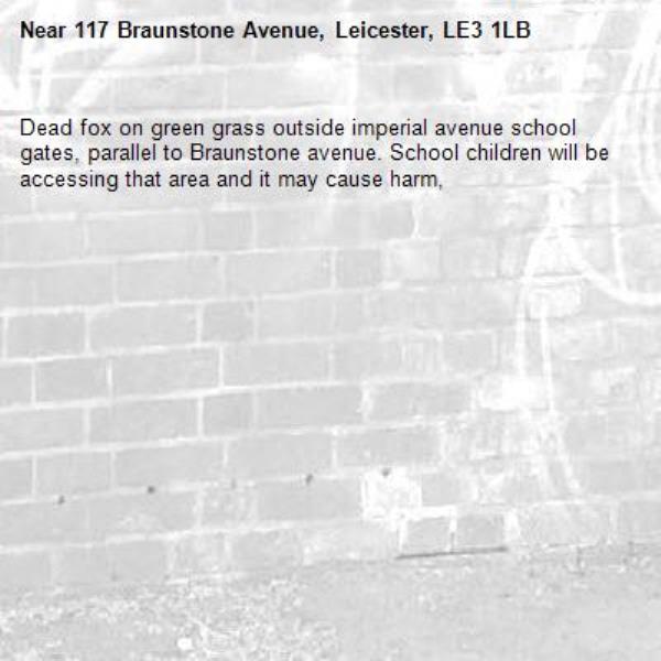 Dead fox on green grass outside imperial avenue school gates, parallel to Braunstone avenue. School children will be accessing that area and it may cause harm, -117 Braunstone Avenue, Leicester, LE3 1LB