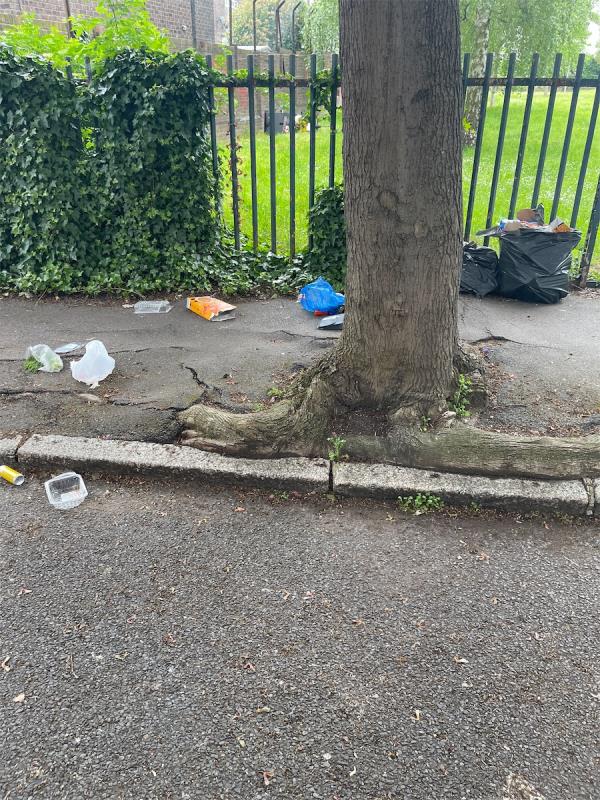 Somebody has dumped plastic bags full of crap opposite number 24 Valetta Grove next to the park-20 Valetta Grove, Stratford, London, E13 0JR