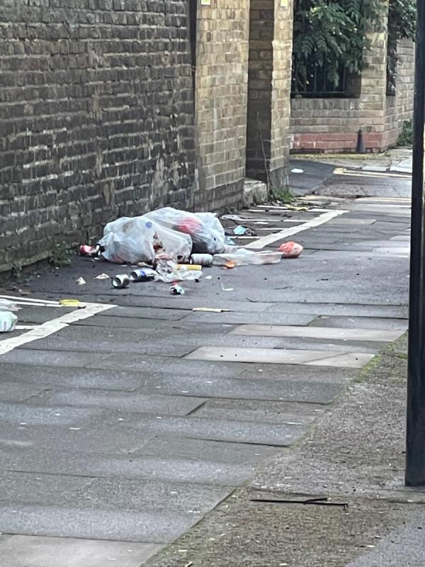 Council waste bags. Ripped open. Rubbish all over the road. Again. Come on.-2A, Norwich Road, Forest Gate, London, E7 9JH