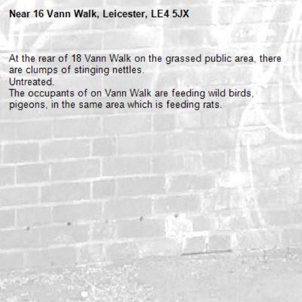 At the rear of 18 Vann Walk on the grassed public area, there are clumps of stinging nettles.
Untreated. 
The occupants of on Vann Walk are feeding wild birds, pigeons, in the same area which is feeding rats. -16 Vann Walk, Leicester, LE4 5JX