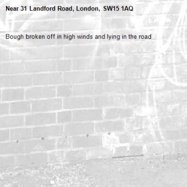 Bough broken off in high winds and lying in the road -31 Landford Road, London, SW15 1AQ