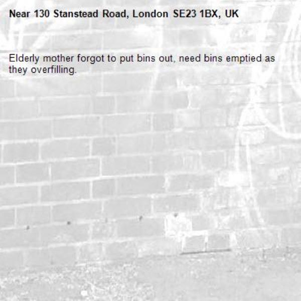 Elderly mother forgot to put bins out, need bins emptied as they overfilling.-130 Stanstead Road, London SE23 1BX, UK