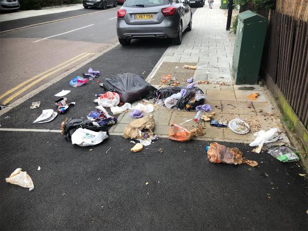 Junction of Sandpit Road. Please clear split bags of food waste-52 Farmfield Road, Bromley, BR1 4NG