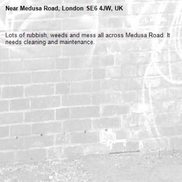 Lots of rubbish, weeds and mess all across Medusa Road. It needs cleaning and maintenance. -Medusa Road, London SE6 4JW, UK