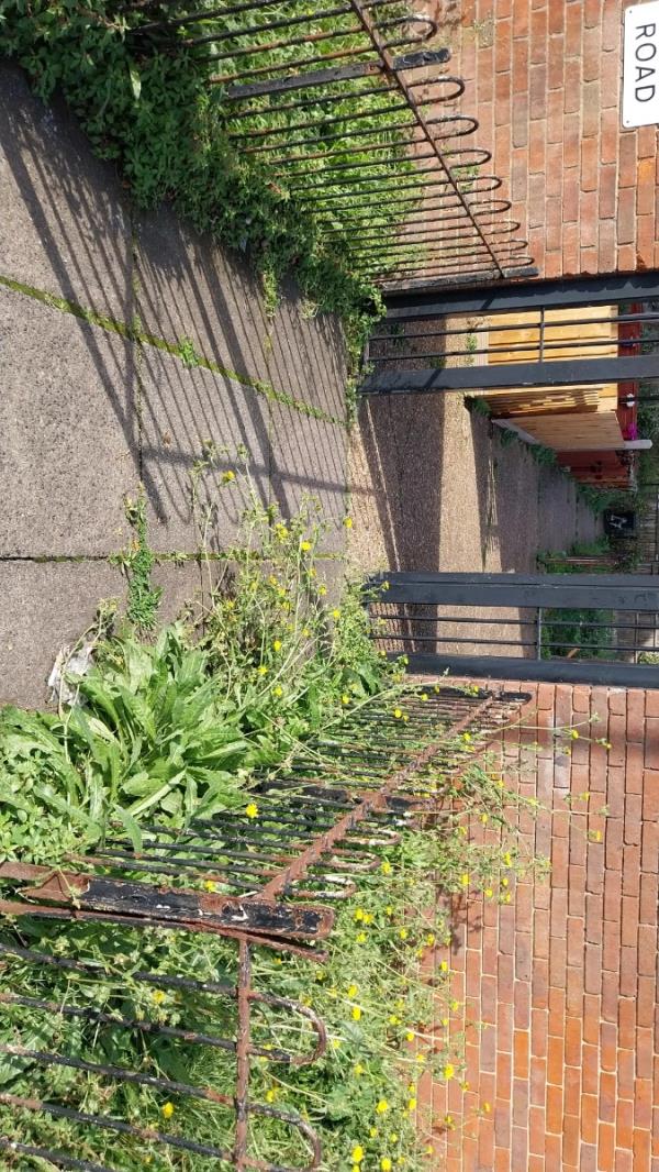 This is at the walkway to our block and hasn't been cut for months as you can see how tall the weeds are -47 Sutton Road, Plaistow, London, E13 8EY