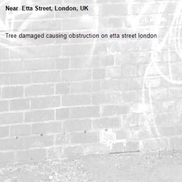 Tree damaged causing obstruction on etta street london- Etta Street, London, UK