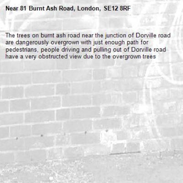 The trees on burnt ash road near the junction of Dorville road are dangerously overgrown with just enough path for pedestrians, people driving and pulling out of Dorville road have a very obstructed view due to the overgrown trees-81 Burnt Ash Road, London, SE12 8RF