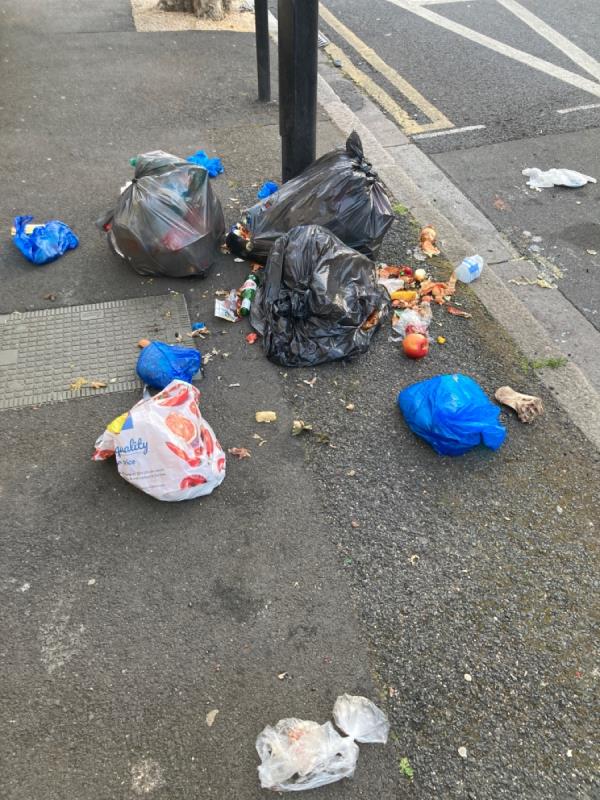 Household rubbish food wast.health and safety hazard , please clean urgently -85 Boundary Road, Plaistow, E13 9PS