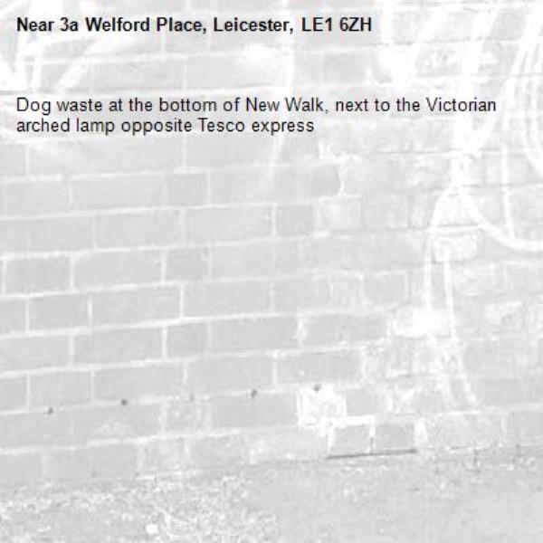 Dog waste at the bottom of New Walk, next to the Victorian arched lamp opposite Tesco express -3a Welford Place, Leicester, LE1 6ZH