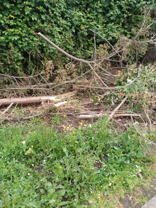 Can the council arrange with Gristwood&Tom's to collect  these  tree  branches  which  are in  Evelyn Dennington Road Beckton. Located  opposite  Begonia Close Beckton. Thanks -1 Swallow Street, Beckton, London, E6 5JX