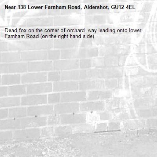 Dead fox on the corner of orchard  way leading onto lower Farnham Road (on the right hand side)-138 Lower Farnham Road, Aldershot, GU12 4EL