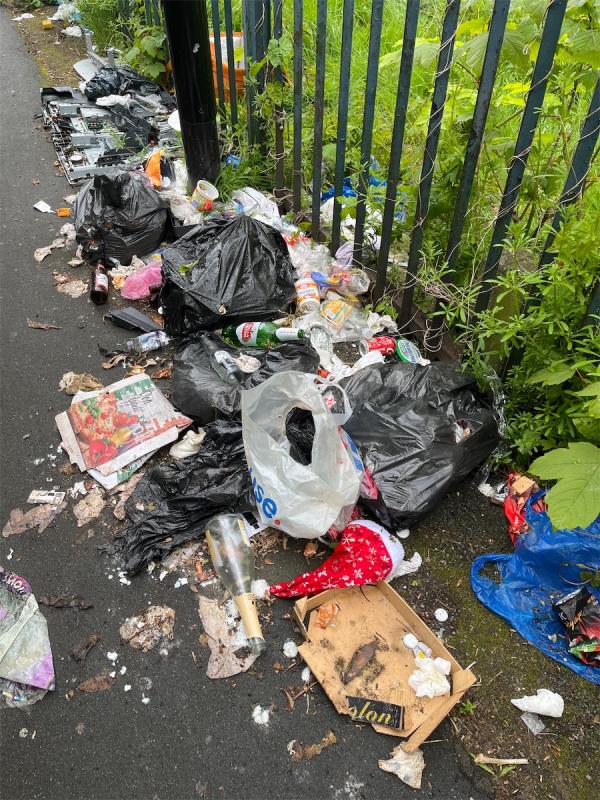This had been here for weeks. It has been reported by me multiple times. It is on the pathway between Western Road and Eastern Road (NOT Dovecote Close). It is disgusting. Please attend to it TODAY. -6 Dovecote Close, Plaistow, London, E13 9HY