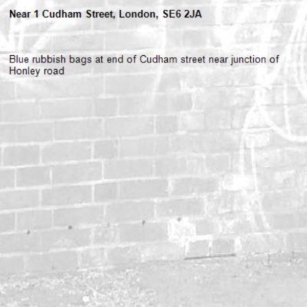 Blue rubbish bags at end of Cudham street near junction of Honley road-1 Cudham Street, London, SE6 2JA