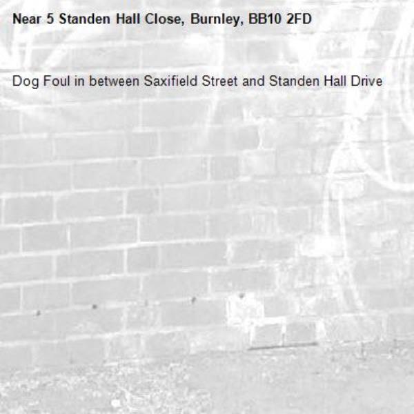 Dog Foul in between Saxifield Street and Standen Hall Drive-5 Standen Hall Close, Burnley, BB10 2FD