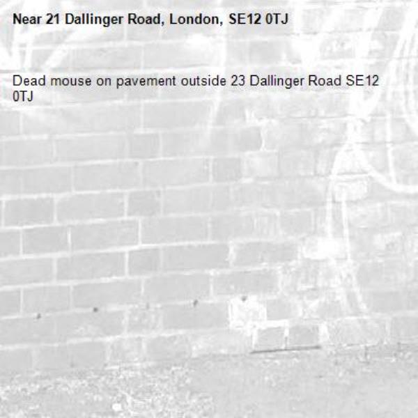 Dead mouse on pavement outside 23 Dallinger Road SE12 0TJ -21 Dallinger Road, London, SE12 0TJ