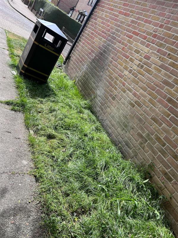 This area has overgrown grass and unkempt shrubs plus dog fouling on the walkway near the bin.  
Bin is overflowing too. 
Reported earlier only to be informed to get negative response stating nothing wrong.  Pls come physically to see how bad the area is and to keep Beckton in good and clean condition plus hygienic too. Thank you. -Beckton District Park