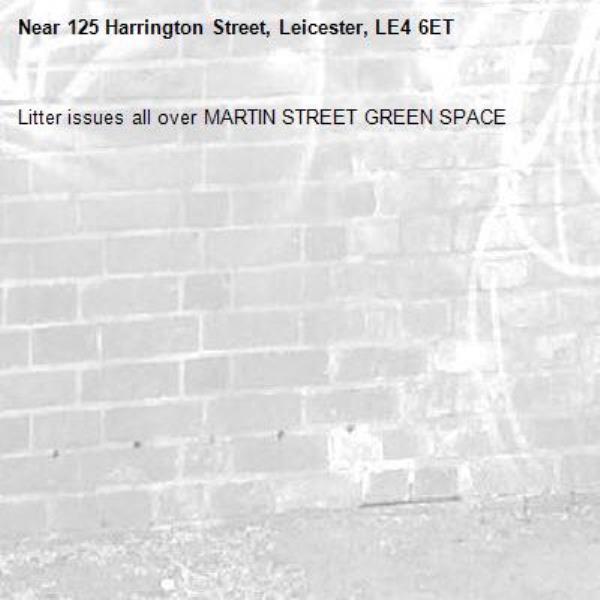 Litter issues all over MARTIN STREET GREEN SPACE -125 Harrington Street, Leicester, LE4 6ET