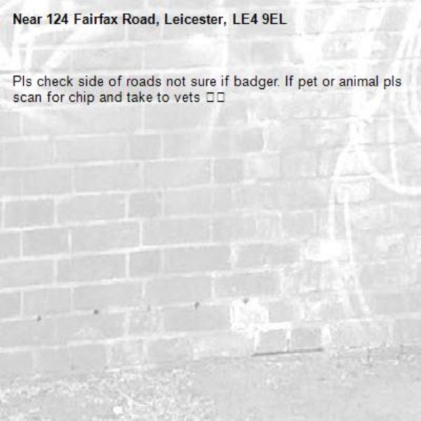 Pls check side of roads not sure if badger. If pet or animal pls scan for chip and take to vets 🥺🙏-124 Fairfax Road, Leicester, LE4 9EL