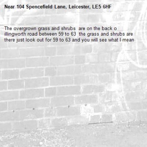 The overgrown grass and shrubs  are on the back o illingworth road between 59 to 63  the grass and shrubs are there just look out for 59 to 63 and you will see what I mean-104 Spencefield Lane, Leicester, LE5 6HF