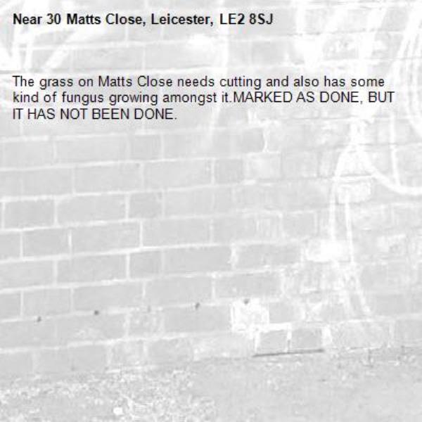 The grass on Matts Close needs cutting and also has some kind of fungus growing amongst it.MARKED AS DONE, BUT IT HAS NOT BEEN DONE.-30 Matts Close, Leicester, LE2 8SJ