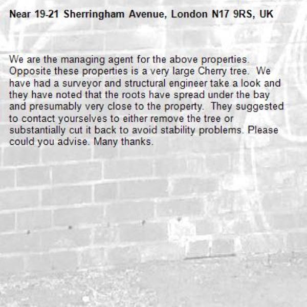 We are the managing agent for the above properties.  Opposite these properties is a very large Cherry tree.  We have had a surveyor and structural engineer take a look and they have noted that the roots have spread under the bay and presumably very close to the property.  They suggested to contact yourselves to either remove the tree or substantially cut it back to avoid stability problems. Please could you advise. Many thanks.-19-21 Sherringham Avenue, London N17 9RS, UK