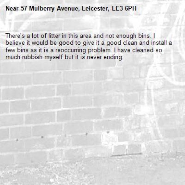 There's a lot of litter in this area and not enough bins. I believe it would be good to give it a good clean and install a few bins as it is a reoccurring problem. I have cleaned so much rubbish myself but it is never ending. -57 Mulberry Avenue, Leicester, LE3 6PH