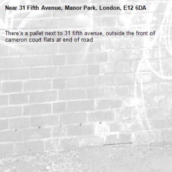 There’s a pallet next to 31 fifth avenue, outside the front of cameron court flats at end of road-31 Fifth Avenue, Manor Park, London, E12 6DA