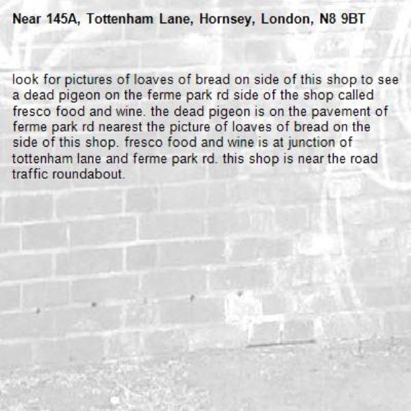 look for pictures of loaves of bread on side of this shop to see a dead pigeon on the ferme park rd side of the shop called fresco food and wine. the dead pigeon is on the pavement of ferme park rd nearest the picture of loaves of bread on the side of this shop. fresco food and wine is at junction of tottenham lane and ferme park rd. this shop is near the road traffic roundabout. -145A, Tottenham Lane, Hornsey, London, N8 9BT