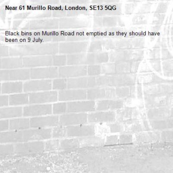 Black bins on Murillo Road not emptied as they should have been on 9 July.-61 Murillo Road, London, SE13 5QG