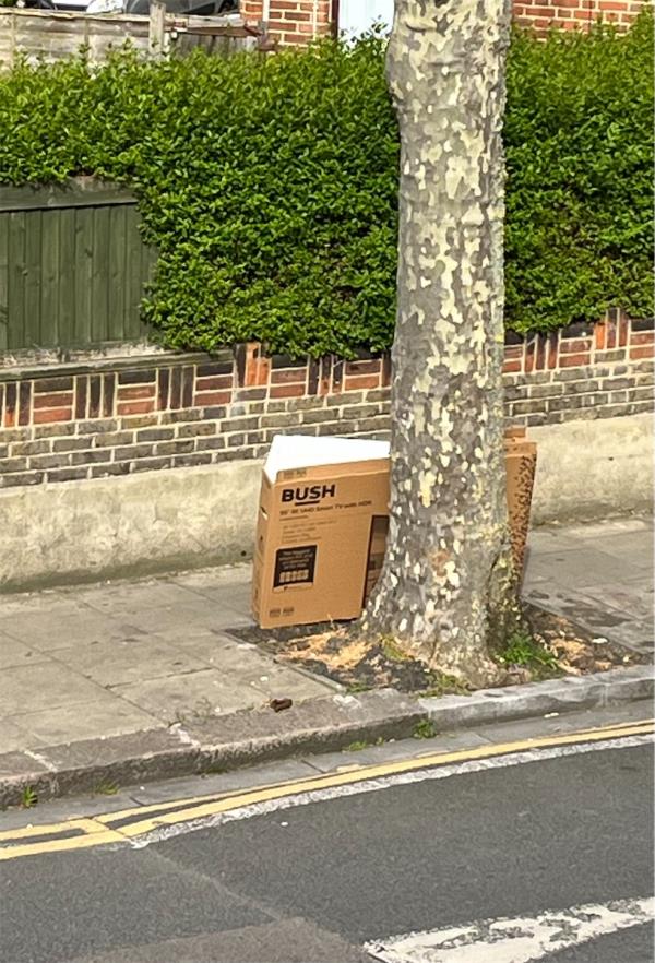 Box by tree to remove-67 St Martins Avenue, East Ham, London, E6 3DU