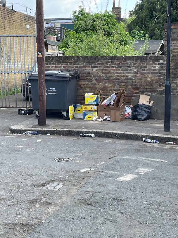 The shop to whom belongs this bin keeps putting rubbish not in the bin but near it and then it becomes dumping ground. I have video of him doing it.-2 Cave Road, Plaistow, London, E13 9DX
