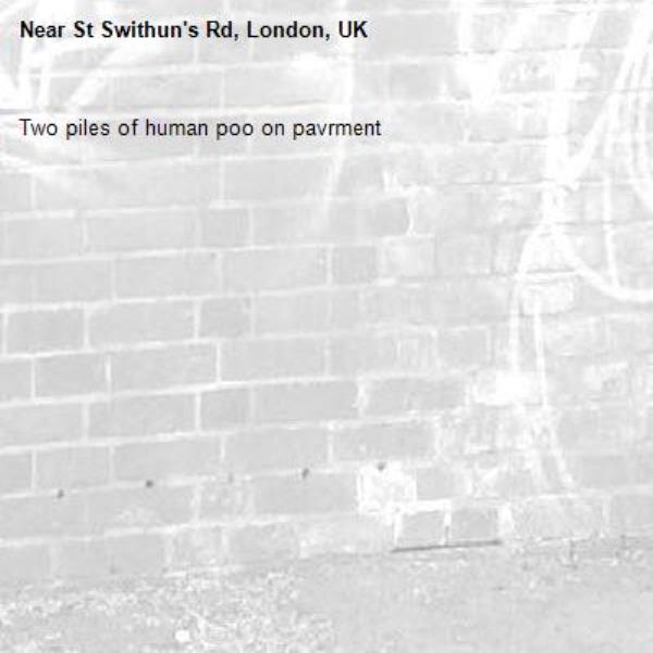 Two piles of human poo on pavrment-St Swithun's Rd, London, UK