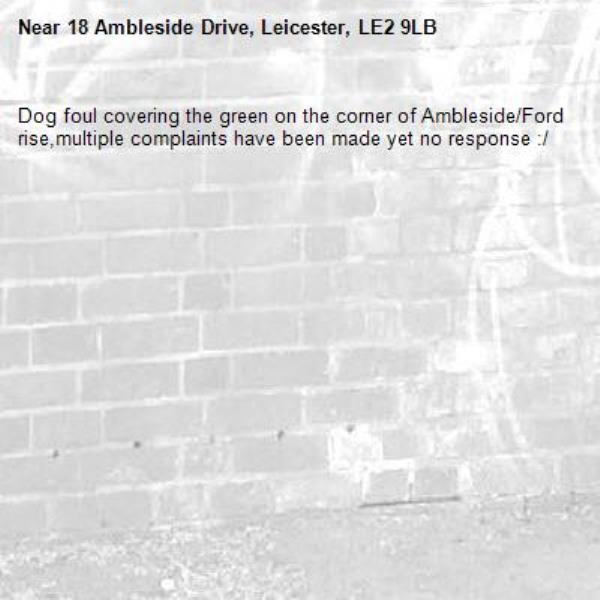 Dog foul covering the green on the corner of Ambleside/Ford rise,multiple complaints have been made yet no response :/-18 Ambleside Drive, Leicester, LE2 9LB
