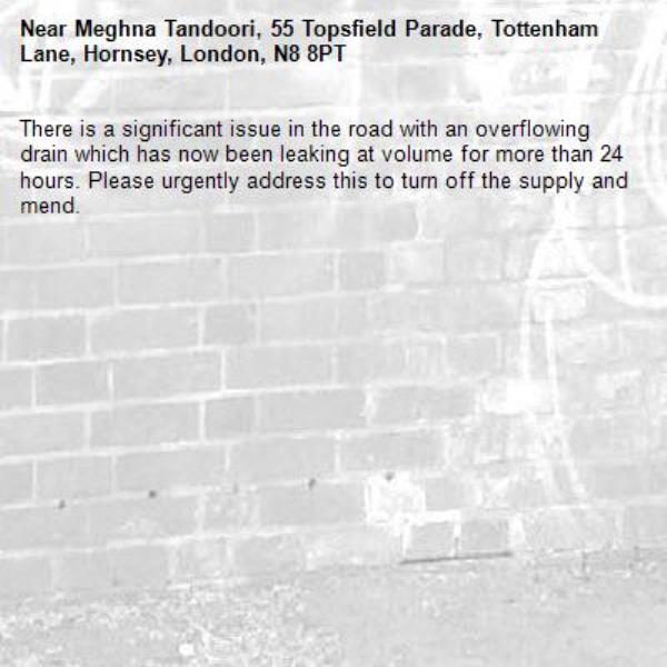 There is a significant issue in the road with an overflowing drain which has now been leaking at volume for more than 24 hours. Please urgently address this to turn off the supply and mend.-Meghna Tandoori, 55 Topsfield Parade, Tottenham Lane, Hornsey, London, N8 8PT