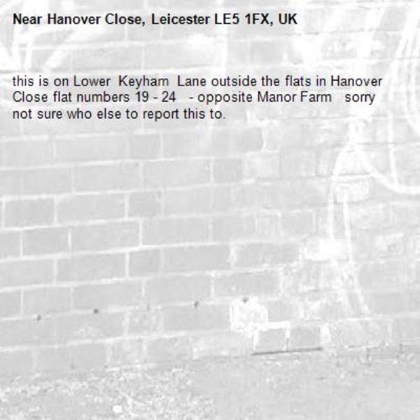 this is on Lower  Keyham  Lane outside the flats in Hanover Close flat numbers 19 - 24   - opposite Manor Farm   sorry not sure who else to report this to.-Hanover Close, Leicester LE5 1FX, UK