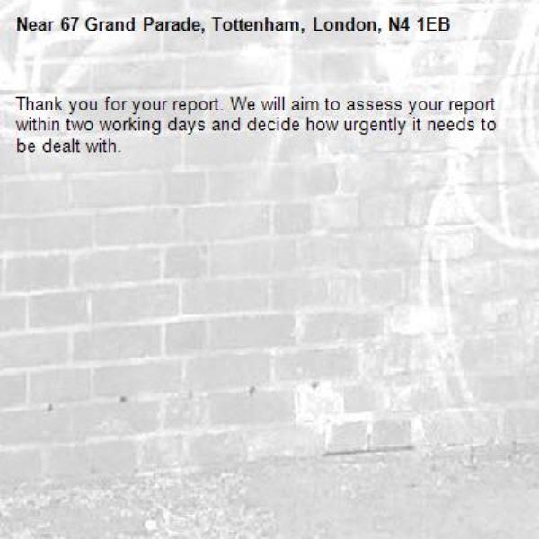 Thank you for your report. We will aim to assess your report within two working days and decide how urgently it needs to be dealt with.-67 Grand Parade, Tottenham, London, N4 1EB