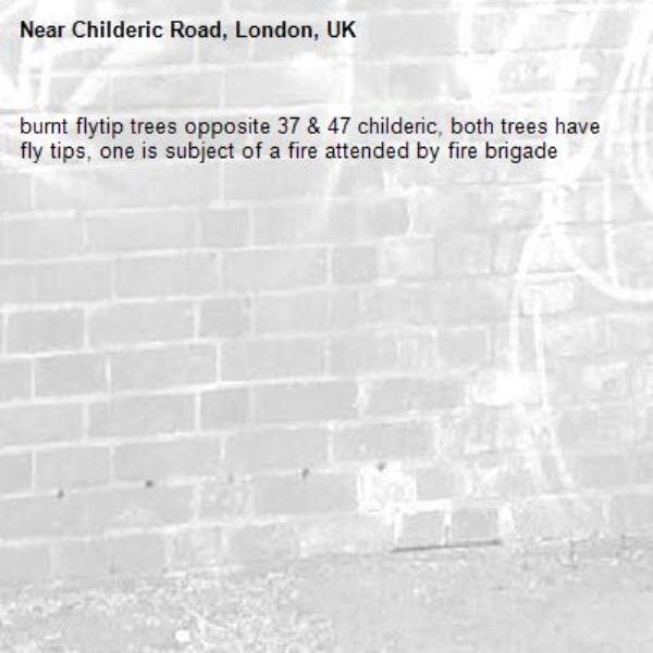 burnt flytip trees opposite 37 &amp; 47 childeric, both trees have fly tips, one is subject of a fire attended by fire brigade-Childeric Road, London, UK