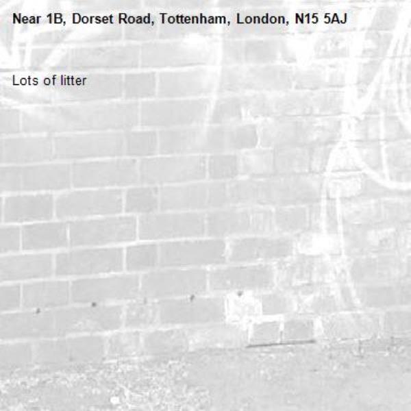 Lots of litter-1B, Dorset Road, Tottenham, London, N15 5AJ