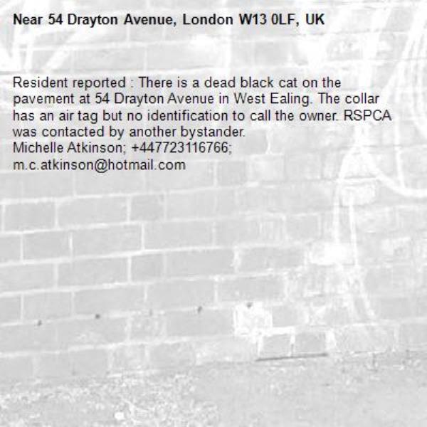 Resident reported : There is a dead black cat on the pavement at 54 Drayton Avenue in West Ealing. The collar has an air tag but no identification to call the owner. RSPCA was contacted by another bystander.
Michelle Atkinson; +447723116766;  m.c.atkinson@hotmail.com-54 Drayton Avenue, London W13 0LF, UK