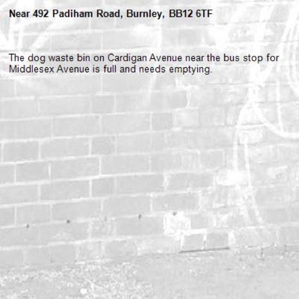 The dog waste bin on Cardigan Avenue near the bus stop for Middlesex Avenue is full and needs emptying.-492 Padiham Road, Burnley, BB12 6TF