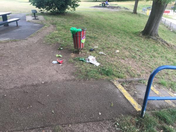 Guilty party pictured on bin too!!  These bins have been like this all day. Daily emptying is supposed to happen and is definitely required. By playground. Such hygiene impacts should be considered by whoever allowed the park to be left like this -6 Larissa Close, Reading, RG31 6LE