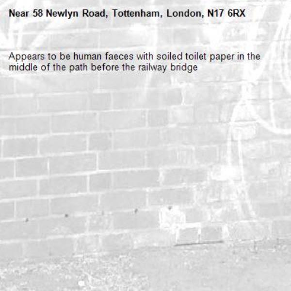 Appears to be human faeces with soiled toilet paper in the middle of the path before the railway bridge -58 Newlyn Road, Tottenham, London, N17 6RX