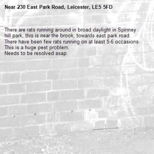 There are rats running around in broad daylight in Spinney hill park, this is near the brook, towards east park road. 
There have been few rats running on at least 5-6 occasions. This is a huge pest problem.
Needs to be resolved asap.-230 East Park Road, Leicester, LE5 5FD