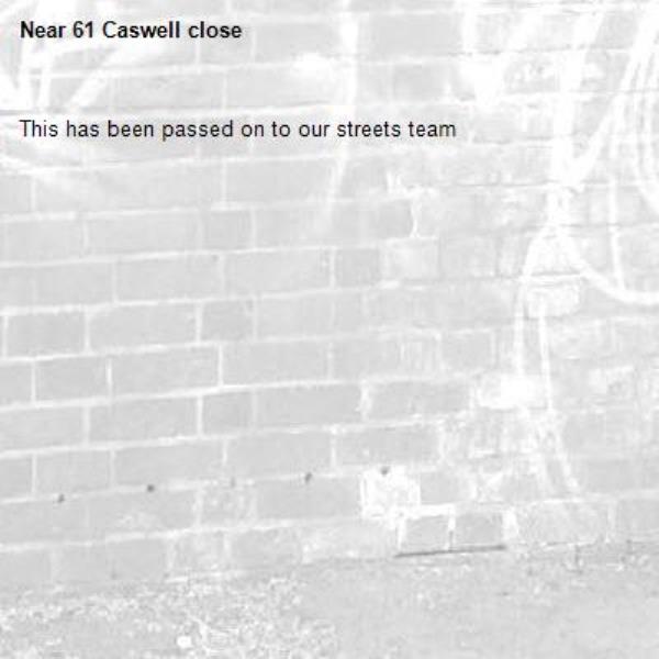 This has been passed on to our streets team-61 Caswell close 