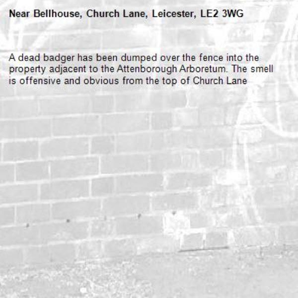 A dead badger has been dumped over the fence into the property adjacent to the Attenborough Arboretum. The smell is offensive and obvious from the top of Church Lane-Bellhouse, Church Lane, Leicester, LE2 3WG