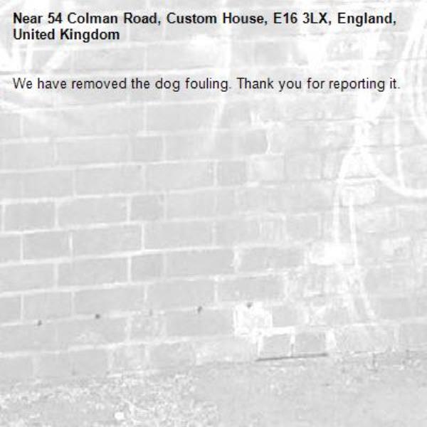 We have removed the dog fouling. Thank you for reporting it.-54 Colman Road, Custom House, E16 3LX, England, United Kingdom