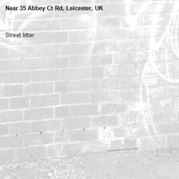 Street litter-35 Abbey Ct Rd, Leicester, UK