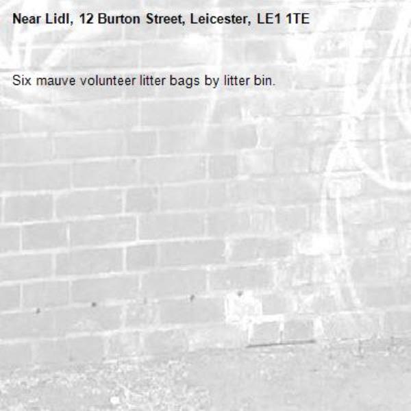 Six mauve volunteer litter bags by litter bin.-Lidl, 12 Burton Street, Leicester, LE1 1TE