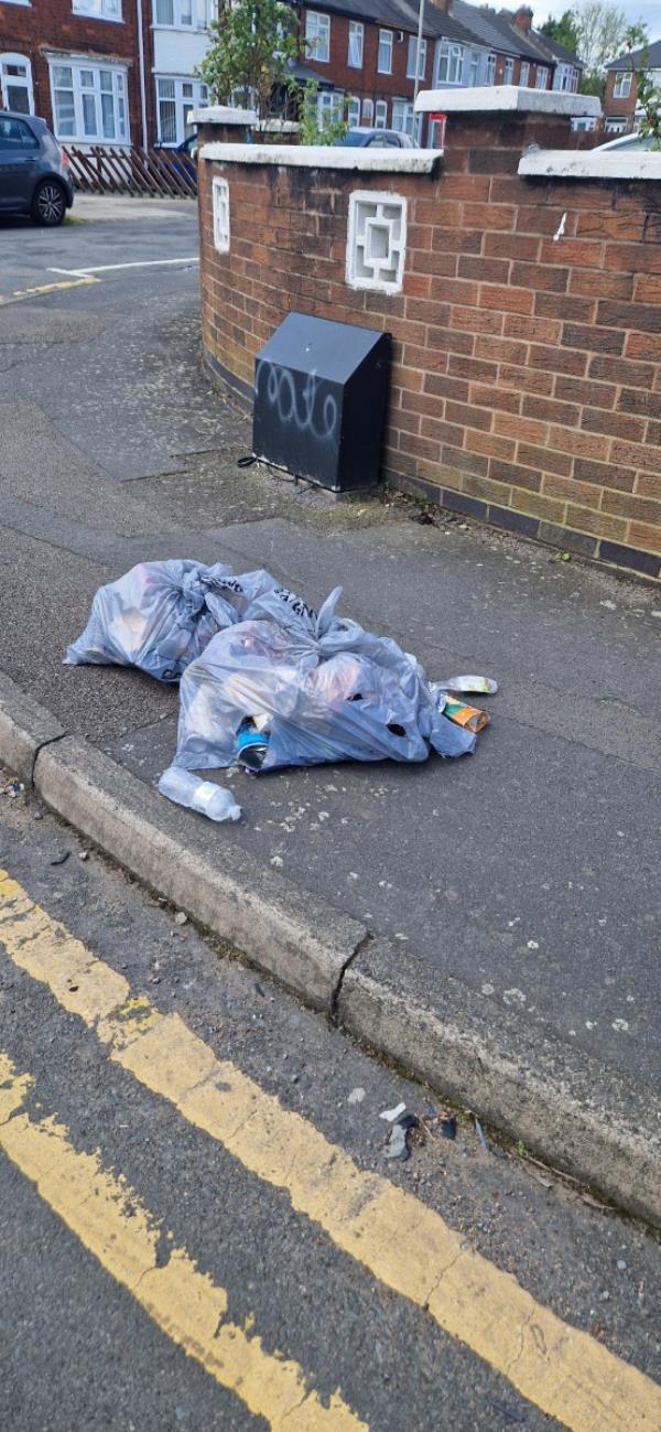 2 trash bags thrown on the footpath.-33 Payne Street, Leicester, LE4 7RD
