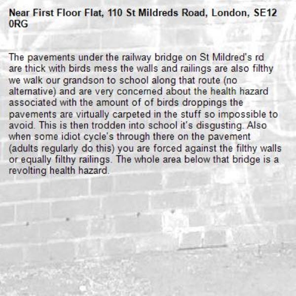 The pavements under the railway bridge on St Mildred's rd are thick with birds mess the walls and railings are also filthy we walk our grandson to school along that route (no alternative) and are very concerned about the health hazard associated with the amount of of birds droppings the pavements are virtually carpeted in the stuff so impossible to avoid. This is then trodden into school it's disgusting. Also when some idiot cycle's through there on the pavement (adults regularly do this) you are forced against the filthy walls or equally filthy railings. The whole area below that bridge is a revolting health hazard.
-First Floor Flat, 110 St Mildreds Road, London, SE12 0RG